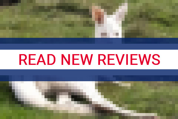 www.atwistofwillow.com.au - check out latest independent reviews